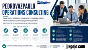 pedrovazpaulo operations consulting